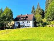 Top saniertes EFH mit Einliegerwohnung in Alleinlage! - Triberg (Schwarzwald)