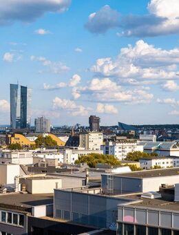 NEUBAU in Frankfurt: Wohnungspaket mit 10 WE - 30 % unter Marktwert, voll vermietet - Frankfurt (Main)