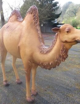 Dekofigur Kamel XXL Gartenfigur Gartendeko Deko - Hergisdorf