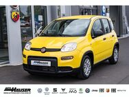 Fiat Panda, 1.0 Hybrid GSE 2024 CITY LANE, Jahr 2024 - Pohlheim