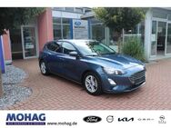 Ford Focus, 1.0 EcoBoost EU6d-T Cool & Connect, Jahr 2020 - Dorsten