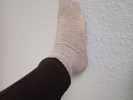 Sockis abzugeben - Luckenwalde