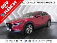 Mazda CX-30, 2.0 -X M Hybrid Selection, Jahr 2019 - Berlin