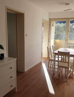 Helle 4-Zi-Wohnung - WG-geeignet, nahe Bahnhof - Lahr (Schwarzwald)