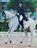 Reitunterricht für Anfänger & Fortgeschrittene /Reiten / Reitschule in 17309