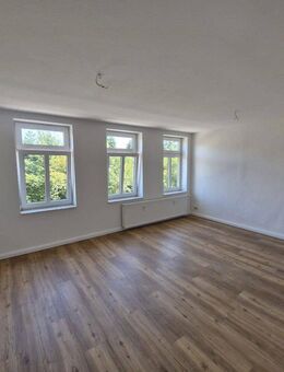Renovierte 3-Zimmer-Wohnung mit Dachterrasse in Schneverdingen - Schneverdingen