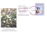 City-Brief-Kurier: BuNr. UE 1, 28.09.2002, "Maschinendenkmal am Tonloch", Satz, Ersttagsstempel - Brandenburg (Havel)