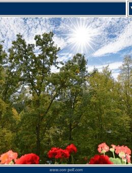 Langfristig vermietete 4-Zimmerwohnung mit schönem Blick ins Grüne - Schwalbach (Taunus)