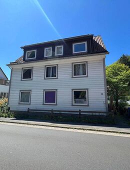 Charmante 3-Zimmer Wohnung im Dachgeschoss in Bad Grund - Bad Grund (Harz)