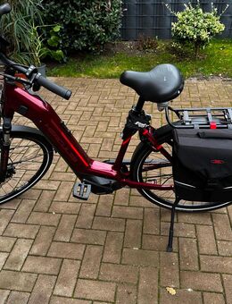 verkaufe E Bikes neuwertig mit Gepäckträger von Green S und Herkules - Wittmund