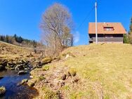 Ferienwohnung im Murgtal / ruhige Lage in Forbach - Hundsbach - Forbach