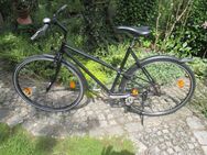 Single-Speed Damenrad - Germering