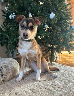 🌞 Felix 6 Monate kleiner Sonnenschein - Kassel