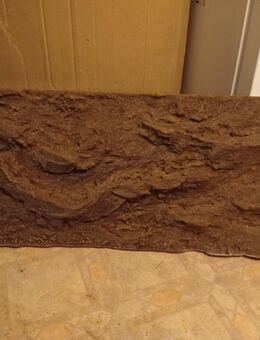 Rückwand Aquarium / Terrarium - Oberschöna