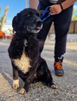 Jenny - Das Leben kann nur besser werden - Mettmann