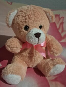 Plüschtier Teddy Pring - Bautzen