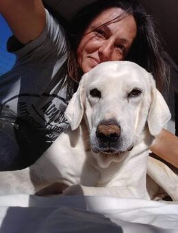 Jerry, liebenswerter Hundemann, ca.8J - Vaterstetten