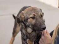 Großer Garten für Dragana gesucht - München