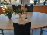 Besprechungstisch mit 6 Freischwingerstühlen - Dassel