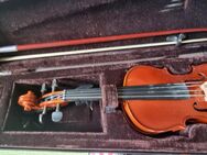 Violine Stentor Student Standard 1/2 - Castrop-Rauxel