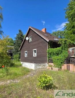 Einfamilienhaus mit zwei Wohneinheiten -Ideal für Handwerker- - natur- und stadtnah - in 17358 Eggesin - Eggesin