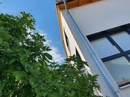 Ihr neues Zuhause in Aurach: Ökologisch, modern, einzigartig - Stadthaus mit Charakter - Aurach