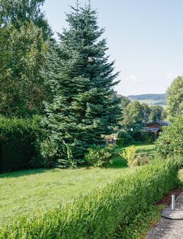 Gemütliche Ferienhaus-Hälfte im idyllischen Ferienpark – Ihr Rückzugsort inmitten der Natur? - Olsberg