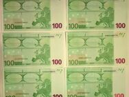 100 Euro Schein Geldschein Banknote Druckfrisch 2002 X Serie - Wittingen Zentrum