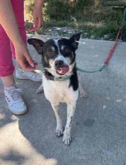 Kleine ruhige unkomplizierte INNA ♥️‼️ - München