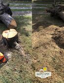 Baumstumpf entfernen Baumwurzel fräsen Baumstumpffräsen Baumwurzeln Stubbenfräse Wurzelstockfräse Baumfräse Wurzeln Wurzelstock Wurzelstockfräser Wurzelfräser in 29229