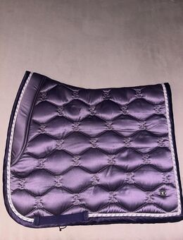 Schabracken PS of Sweden WB Dressur - Schmallenberg Zentrum