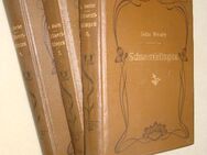 mehrere antiquarische Bücher ab 1886 - Spaichingen Zentrum