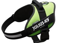Julius-K9 IDC®-Powergeschirr - neon grün - Größe XL: Brustumfang 71 - 96 cm
