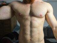 bodybuilder, bi, sucht kerle für sex und freundschaft - Soltau Zentrum