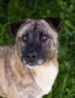 WILSON - endlich viel Tolles erleben - Overath