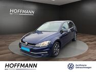 VW Golf, 1.0 TSI IQ Drive Light, Jahr 2019 - Burgwald