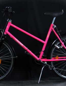 Stylisches Citybike, FISCHER BASIC Line, B25/219 - Aarau