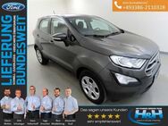 Ford EcoSport 1.0 EcoB Trend AHK+PDC - Premnitz