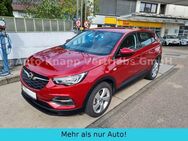 Opel Grandland X Edition AT-8,PHEV, AHK, LED, Navi, - Aichwald