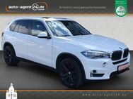 BMW X5 /H&K/Pano/HUD/ACC/Keyl./Sthzg./Sitzlüft. - Dresden