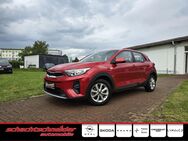 Kia Stonic, 1.0 T-GDI Edition 7, Jahr 2022 - Ketzin (Havel)