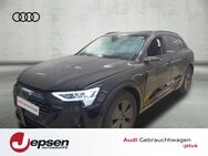 Audi Q8, Advanced advanced 55 qu STKL H, Jahr 2024 - Neutraubling