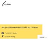 APEX Datenbanklösungsarchitekt (m/w/d) - Braunschweig