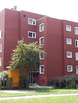Helle 3 Zimmer-Wohnung in ruhiger Lage - Uelzen