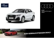 Audi Q2, 35 TFSI S line, Jahr 2024 - Neumarkt (Oberpfalz)