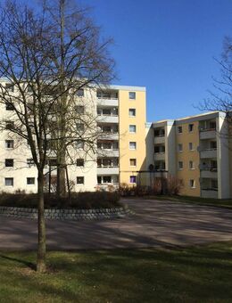 Wohlfühlen in Goslar 3-Zimmer-Wohnungen mit Balkon - Goslar