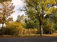 Traumhaftes Baugrundstück in Eichwalde - Ihre Chance auf individuelles Wohnen! - Eichwalde