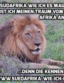 Südafrika erleben: Kleingruppen Sonderreise Weihnachten: Februar 2026 inkl. Flüge in 97276