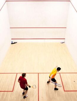 Suche Spielpartner/in für Badminton oder Squash - Enger (Widukindstadt) Zentrum