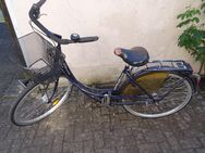 28´er Damenfahrrad - Neuenkirchen (Landkreis Heidekreis)